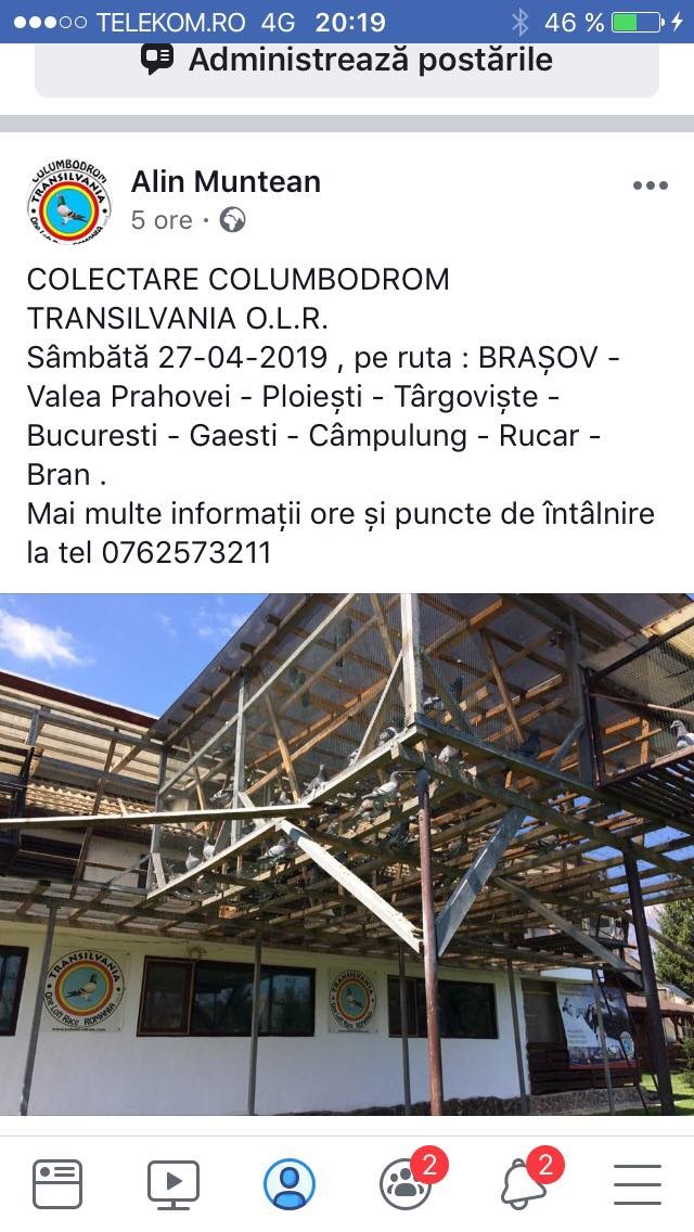 Colectare porumbei 27.04.2019 Brasov - Bucuresti - Targoviste